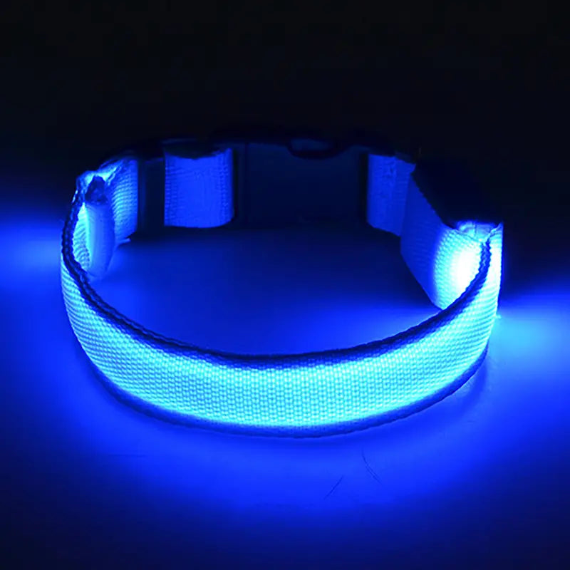 LED-halsband för hund