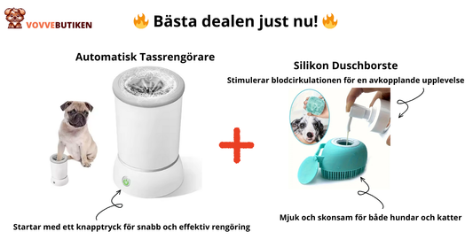 Automatisk Tassrengörare och Silikon Duschborste för Hund och Katt